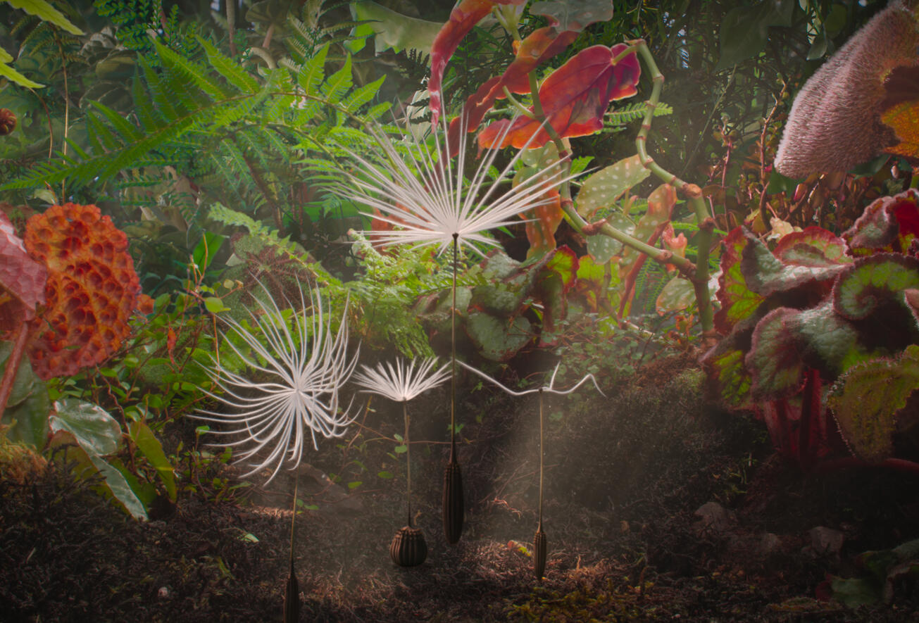 Feature film: Dandelion&#39;s Odyssey (2024-2025)